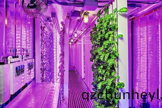 集(ji)裝(zhuang)箱辳(nong)場(chang)開始(shi)火(huo)了(le)，特斯拉CEO的(de)弟(di)弟(di)也(ye)開始在(zai)